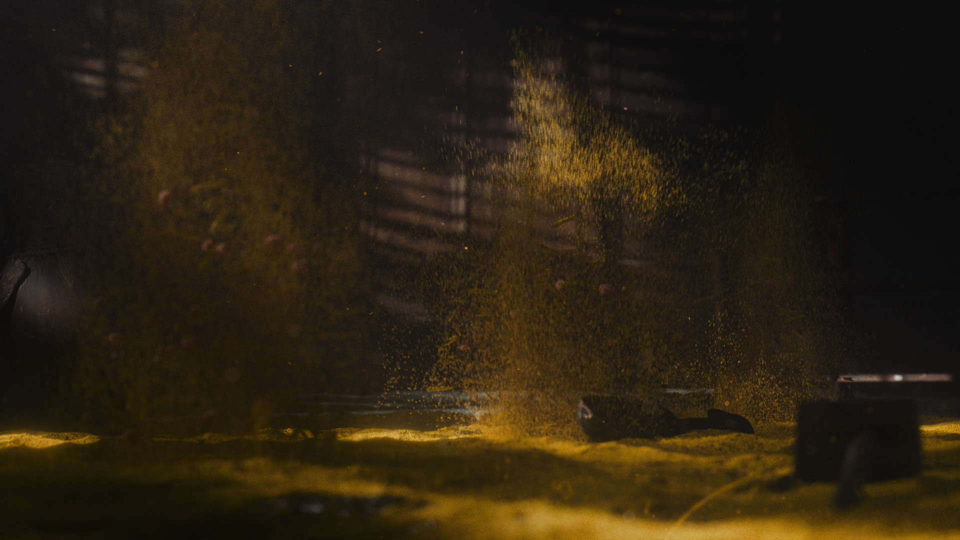 Dust_Vertical_Float_V1